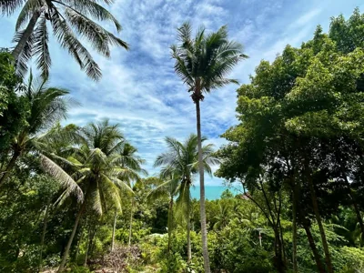 Kalani, Haad Yao – Foto 11